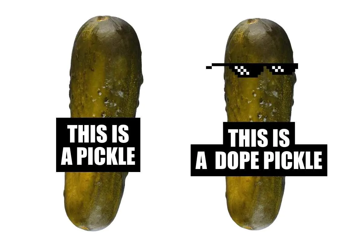 pickle meme this is a pickle