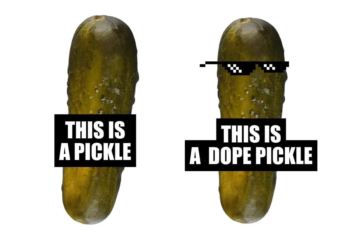 Pickle Memes and Puns - 20+ Funny Images That Are a Big Dill 13 pickle meme this is a pickle
