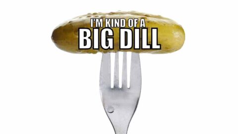 Pickle Memes and Puns – 20+ Funny Images That Are a Big Dill