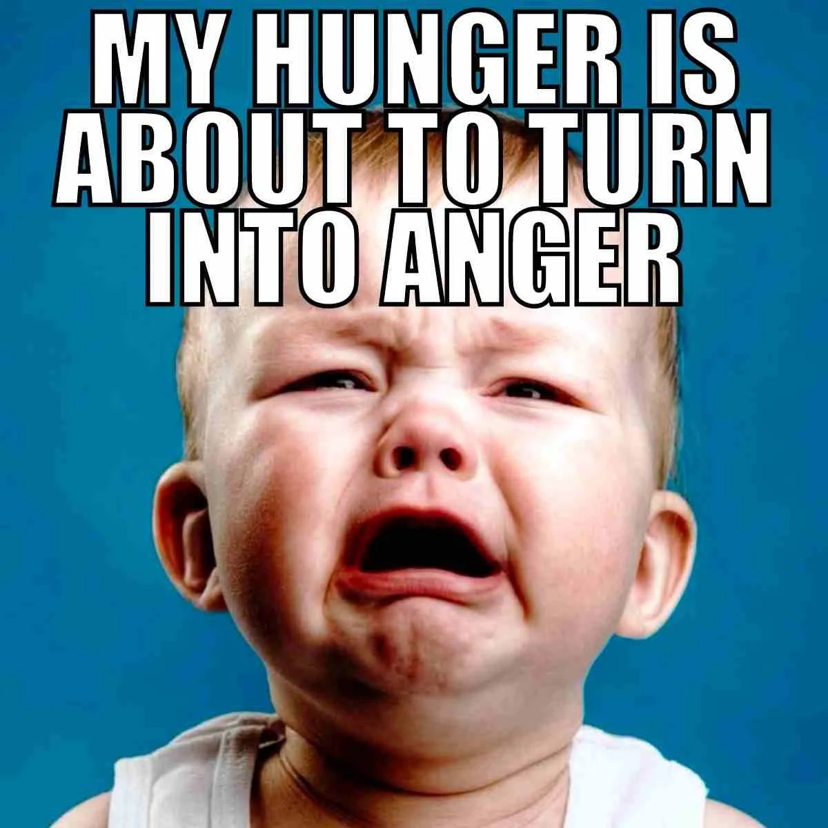Hangry Memes - 15+ Funny Hungry Angry Images 3 my hunger is about to turn into anger