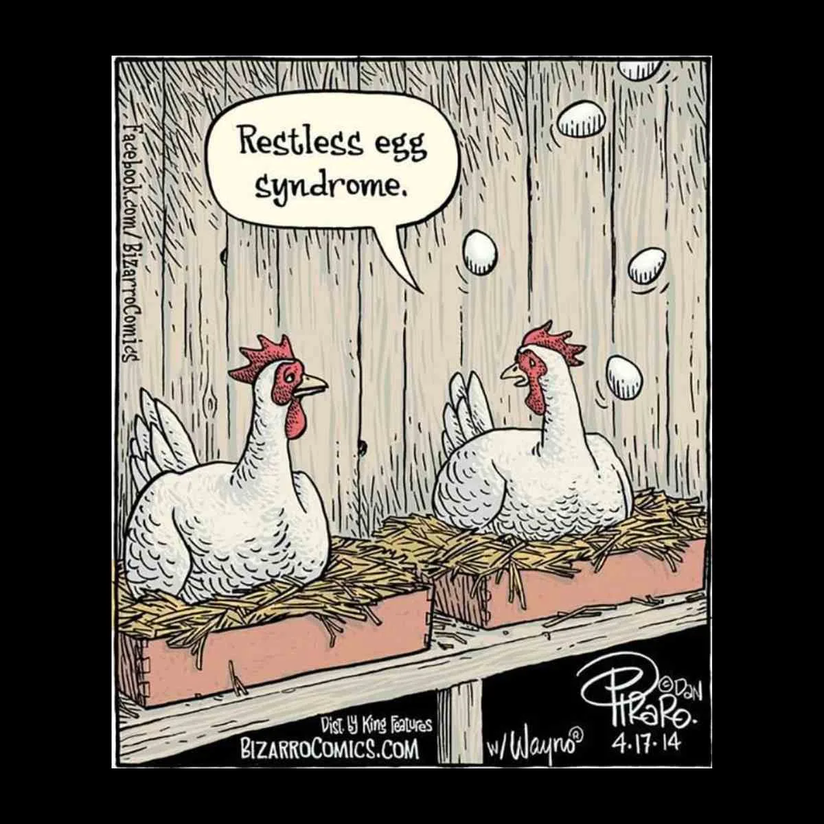 chicken egg meme cartoon restless egg syndrome