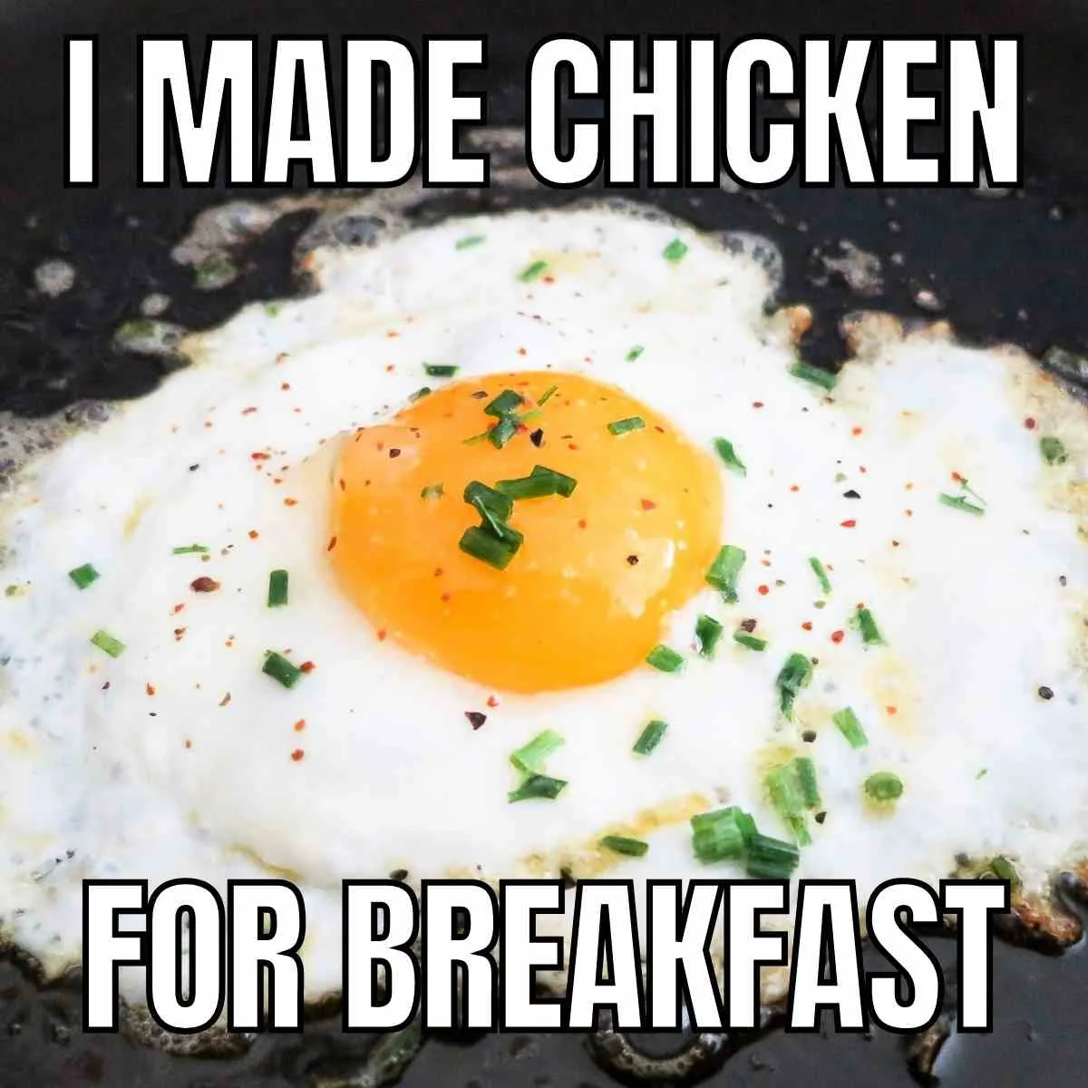 cooking eggs meme i made chicken for breakfast
