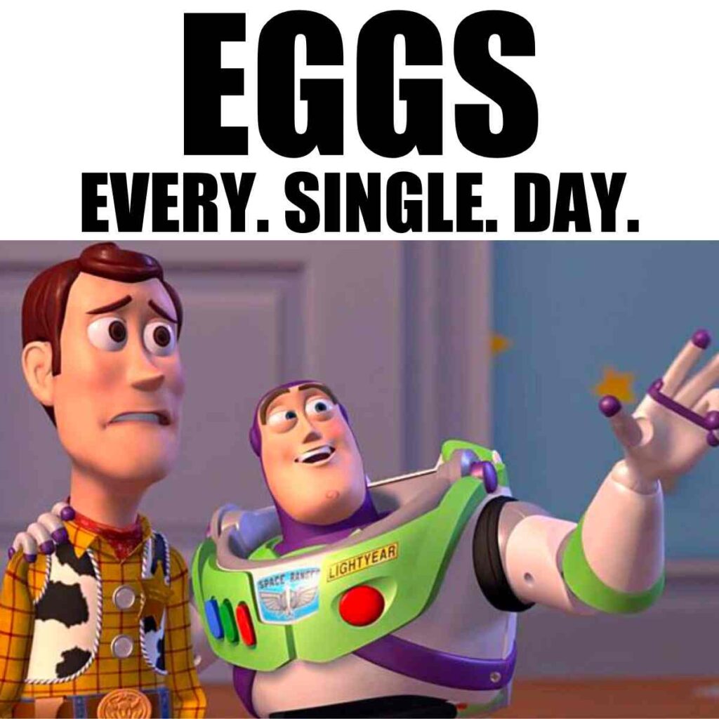 eating eggs everyday meme
