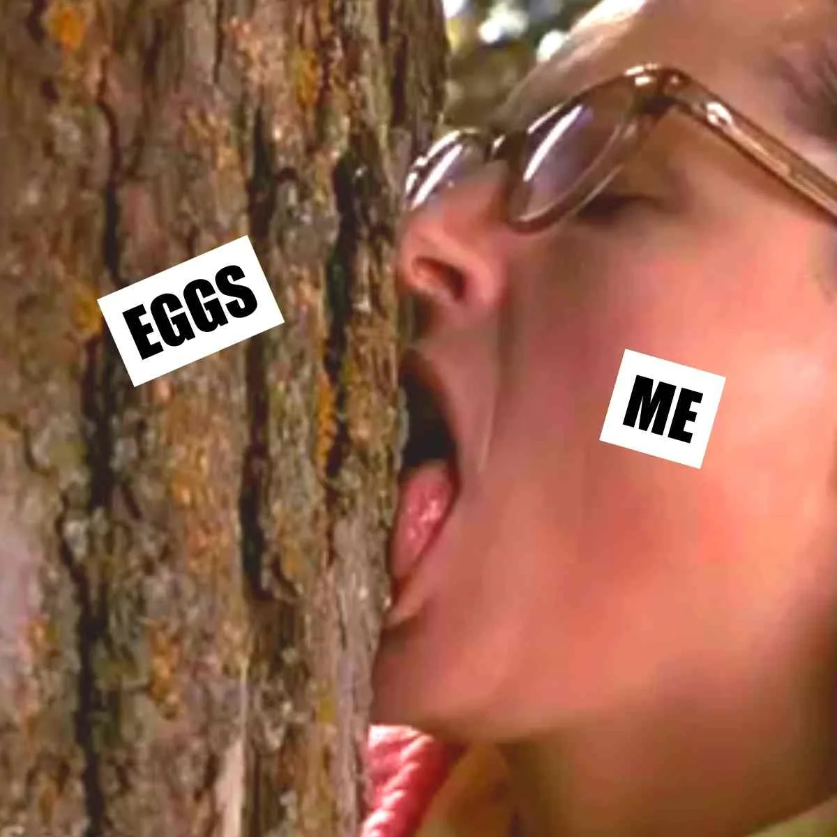 Egg Memes - 25+ Funny Laughs at Egg Prices That Will Crack You Up! 8 egg lover meme
