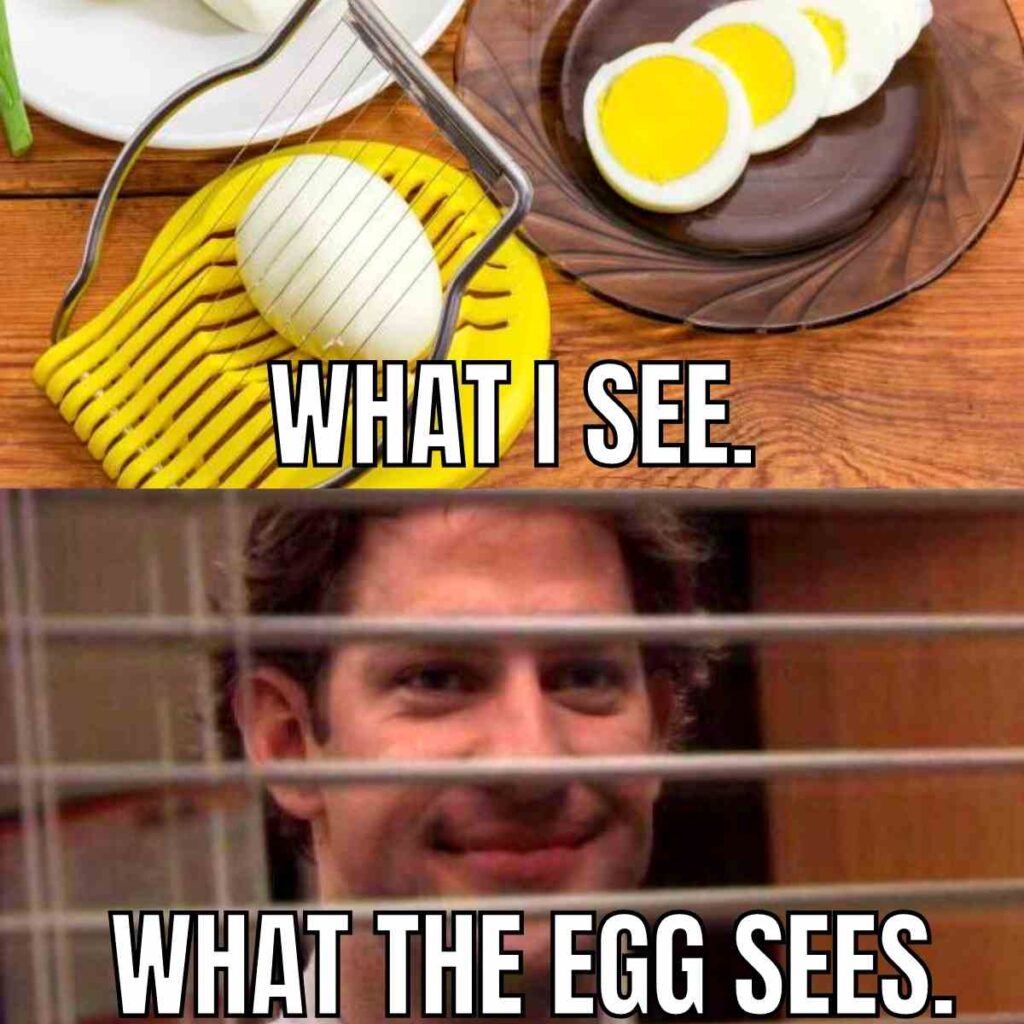 egg meme funny what i see vs what the egg sees