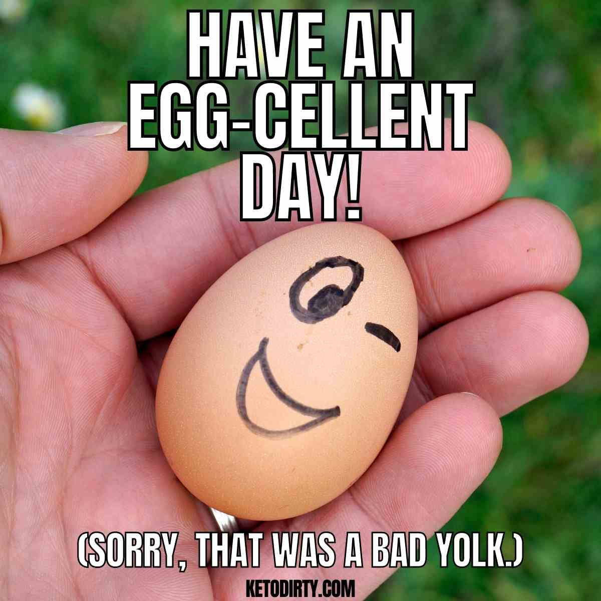 egg pun meme have an eggs-cellent day