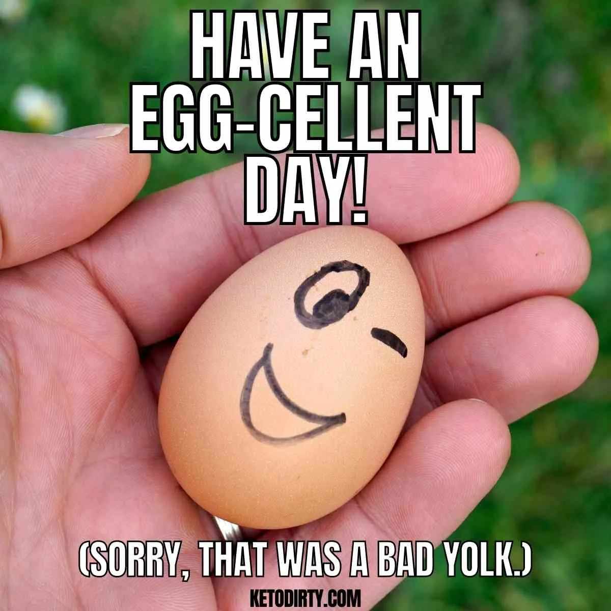 Egg Memes - 25+ Funny Laughs at Egg Prices That Will Crack You Up! 35 egg pun meme have an eggs-cellent day