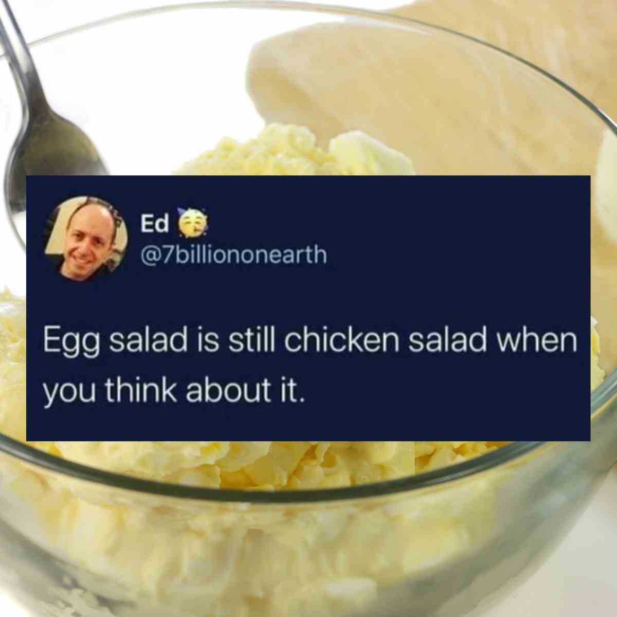 egg salad meme - egg salad is still chicken salad when you think about it
