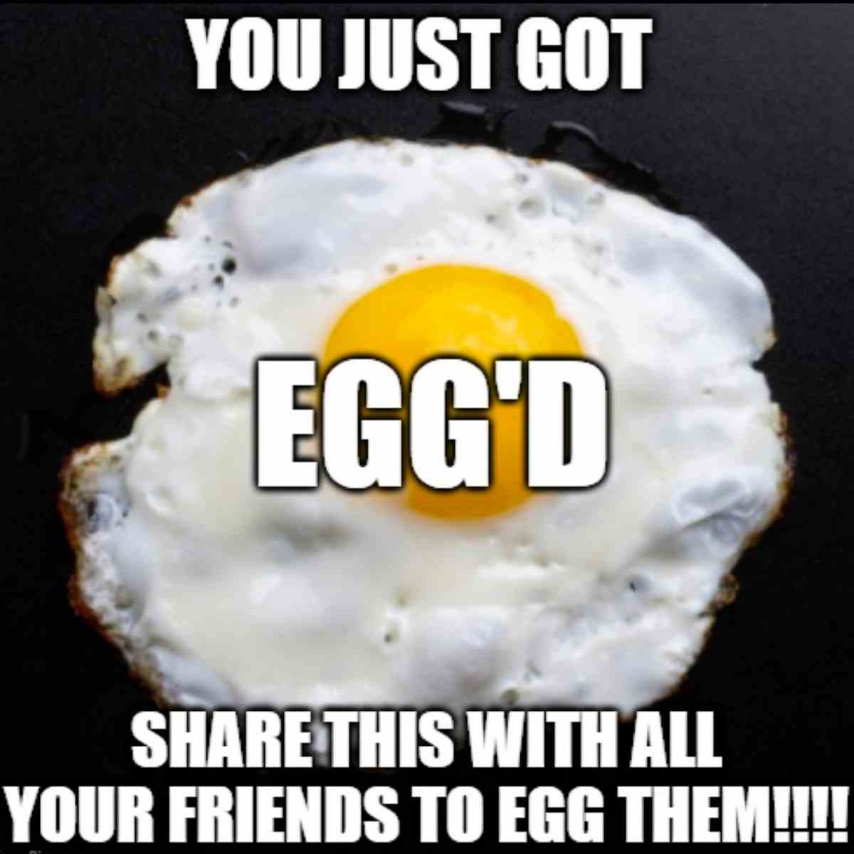 you just got egged meme