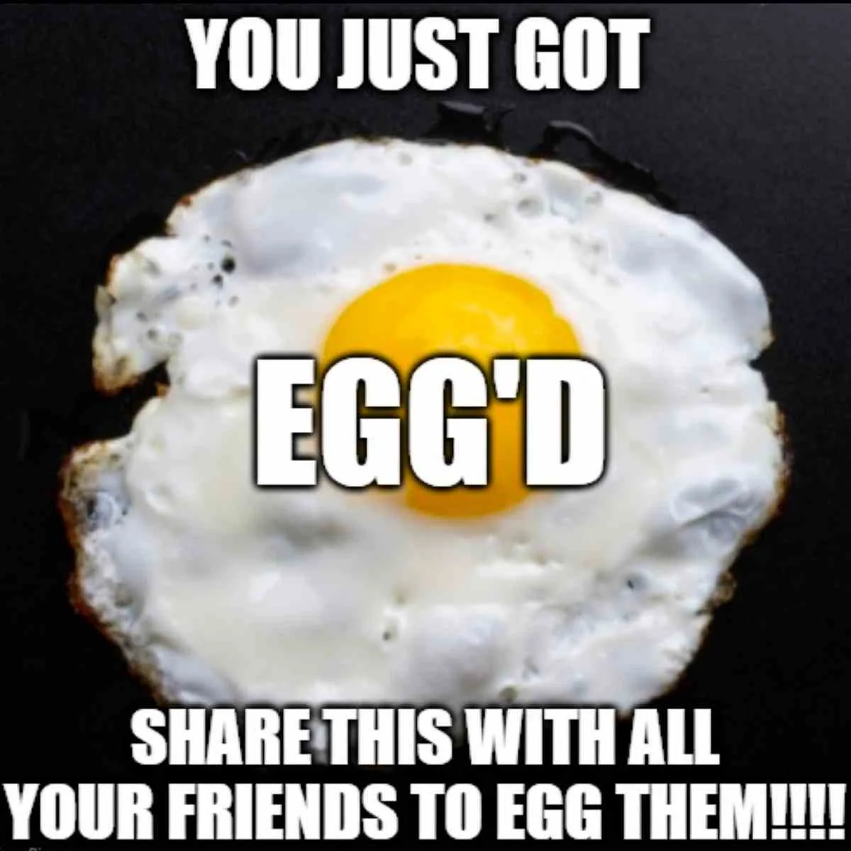 Egg Memes - 25+ Funny Laughs at Egg Prices That Will Crack You Up! 34 you just got egged meme