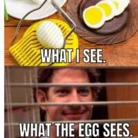 funny egg memes