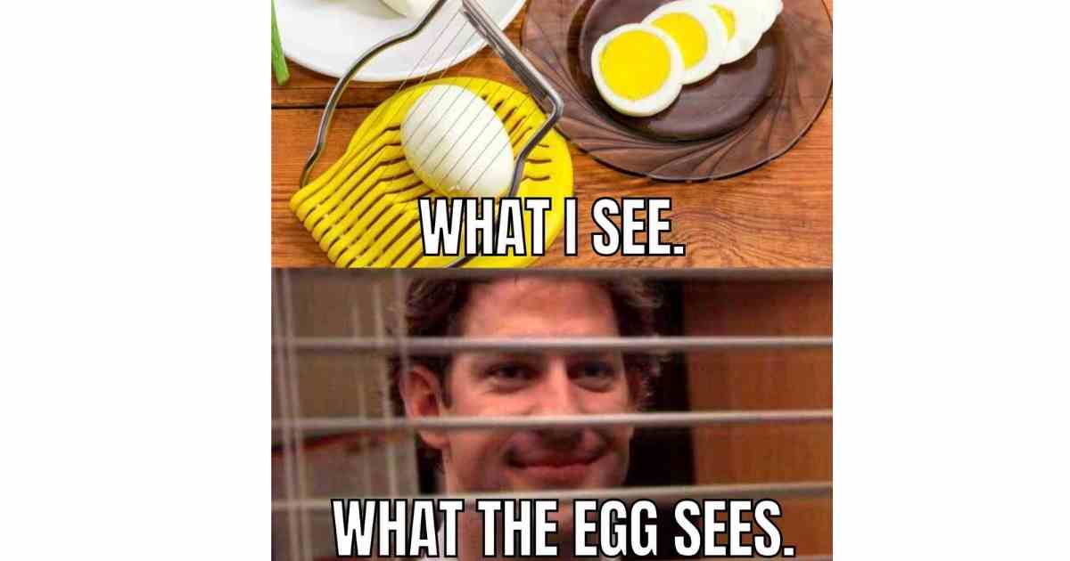 funny egg memes