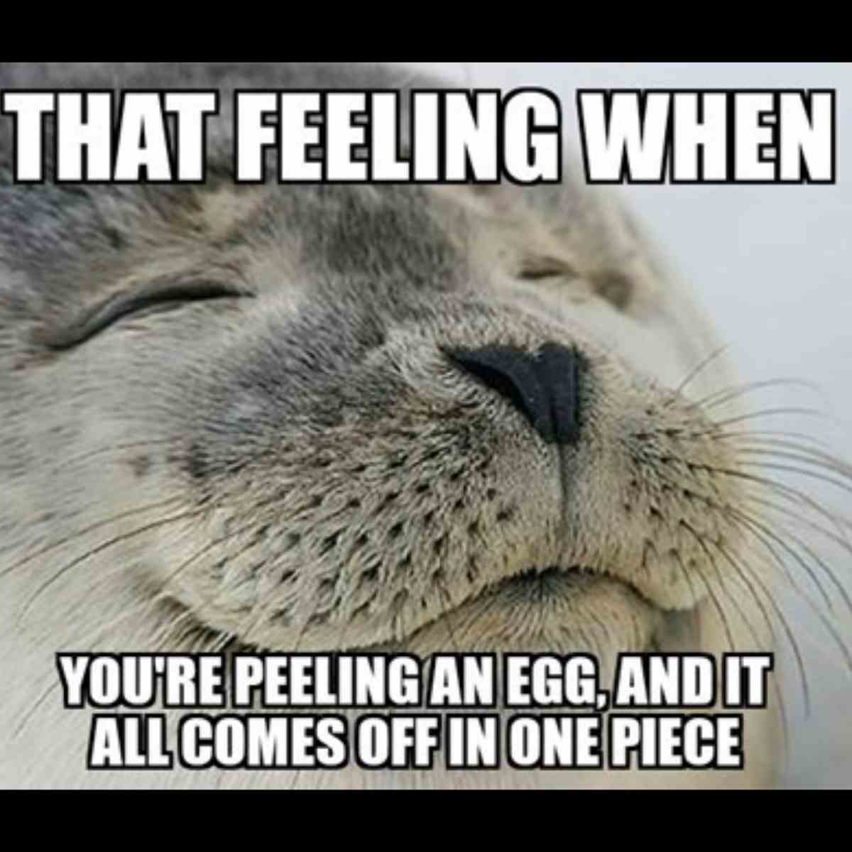 that feeling when you are peeling an egg and it all comes off in one piece