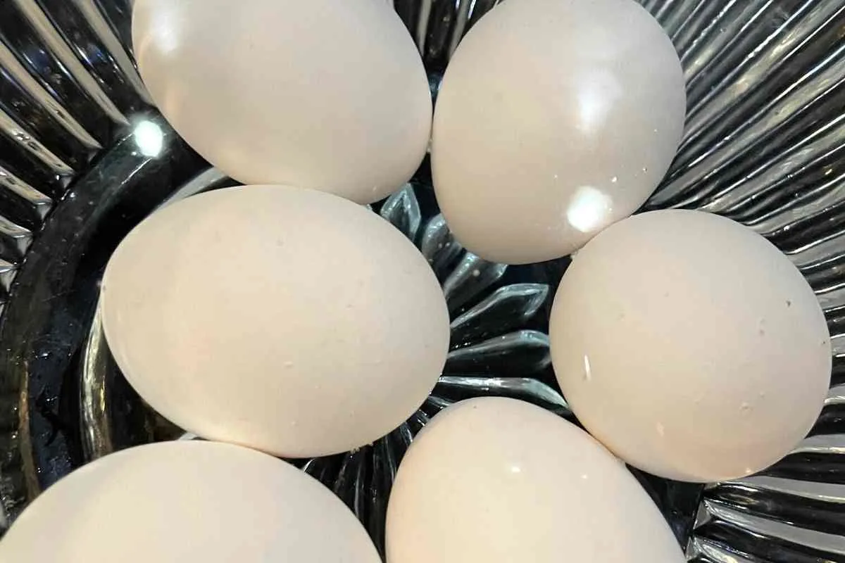 submerge eggs in water for boiling in microwave