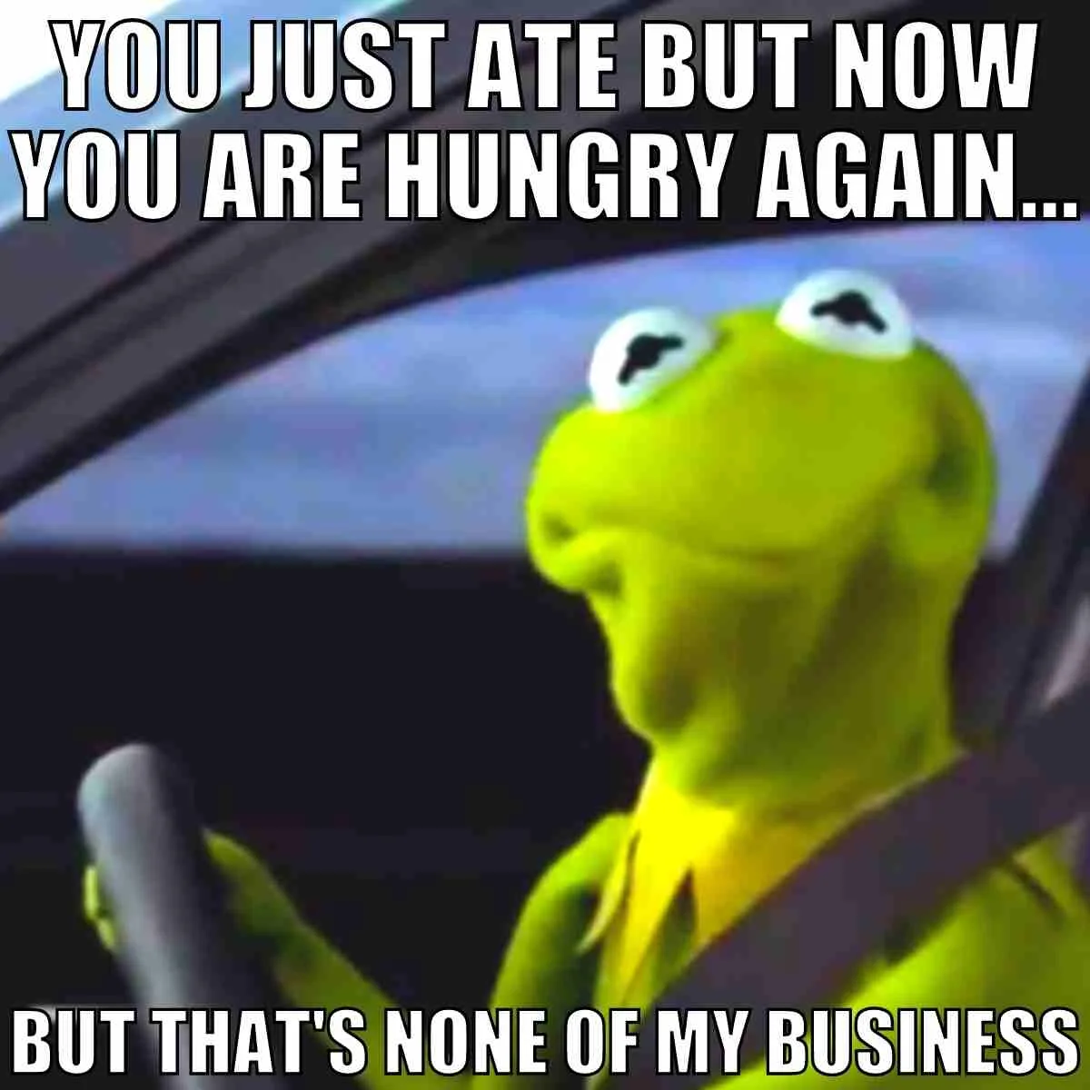 Hangry Memes - 15+ Funny Hungry Angry Images 10 you just ate but now you are hungry again but that is none of my business