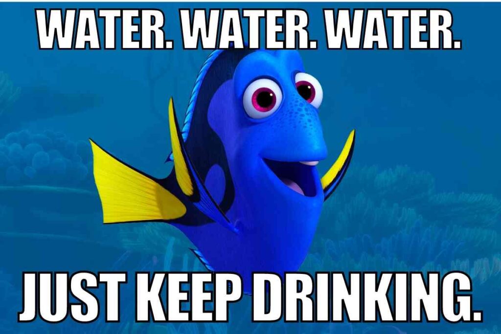dory finding nemo - water water water just keep drinking