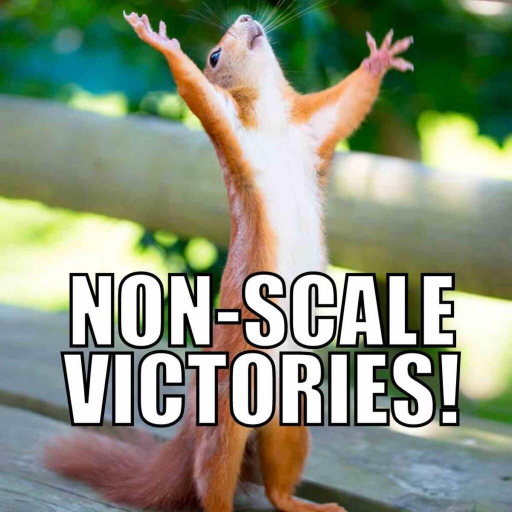 nsv non scale victories meme squirrel