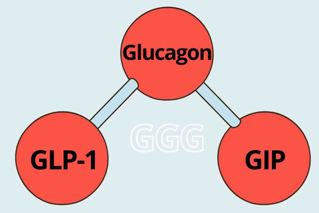 tri-agonist retatrutide targeting glp-1, gip and glucagon