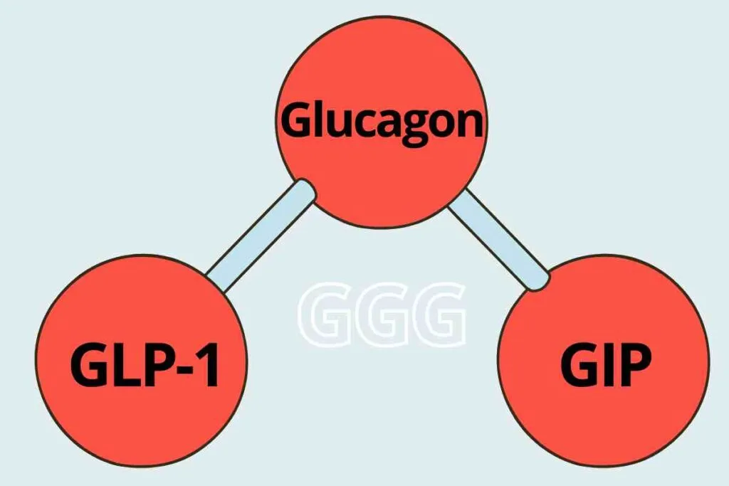 tri-agonist retatrutide targeting glp-1, gip and glucagon