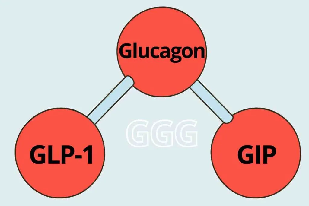 What is Retatrutide LY3437943? 5 Interesting Things to Know 7 tri-agonist retatrutide targeting glp-1, gip and glucagon
