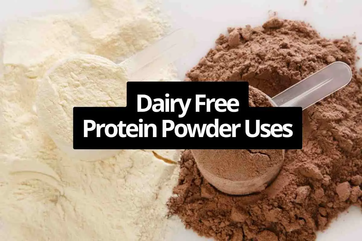 dairy free protein powder uses