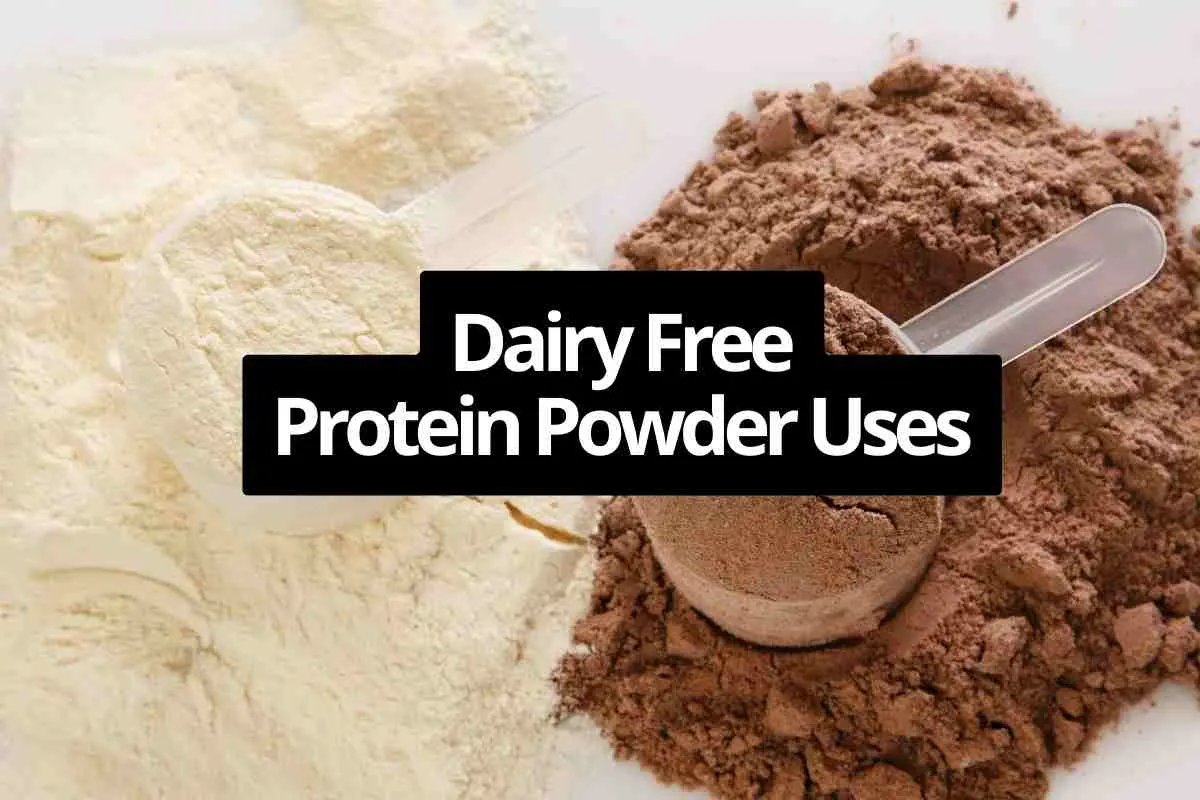 Best Dairy Free Protein Shakes 2023 15 dairy free protein powder uses