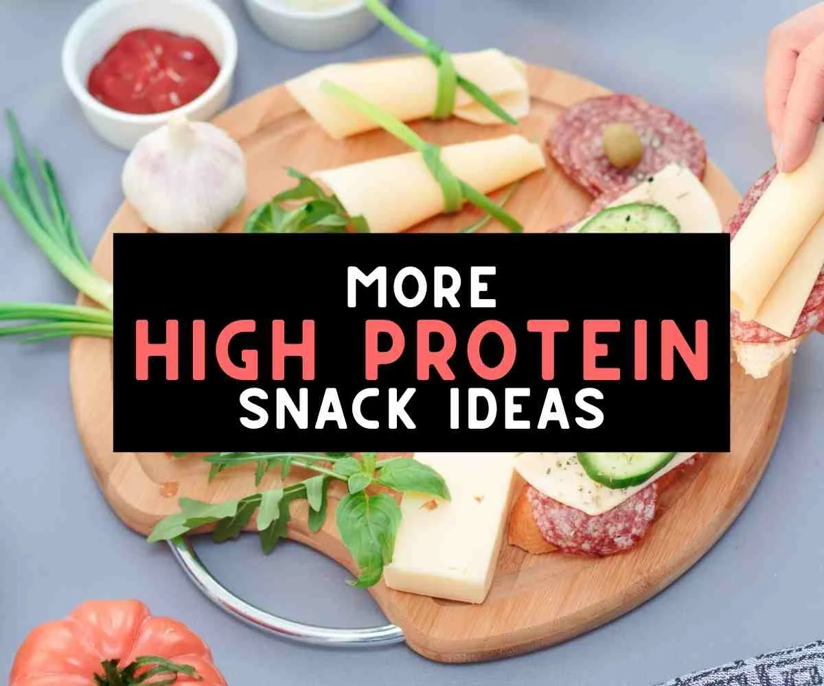 more high protein snack ideas