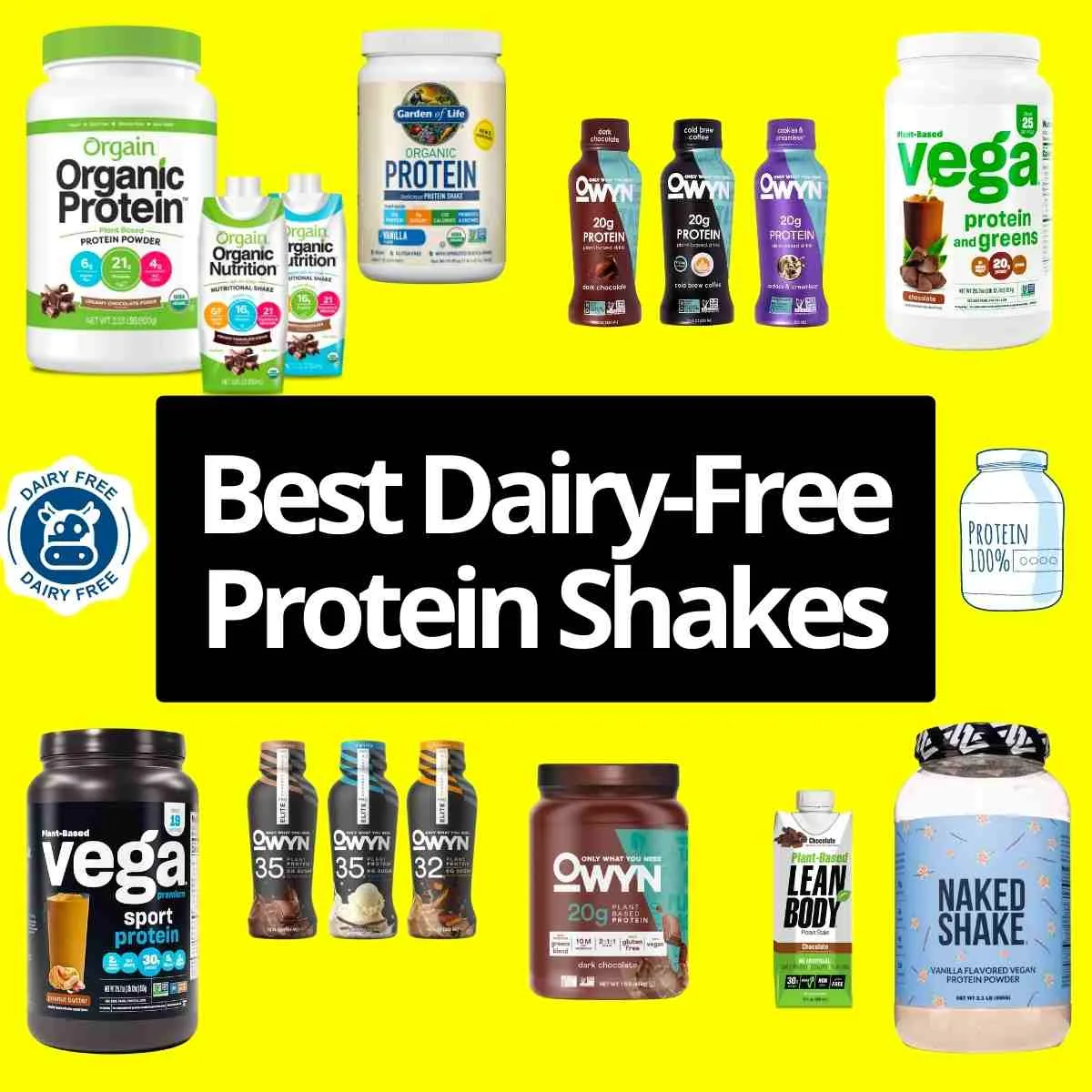 Best Dairy Free Protein Shakes 2023 14 why drink non dairy protein shakes