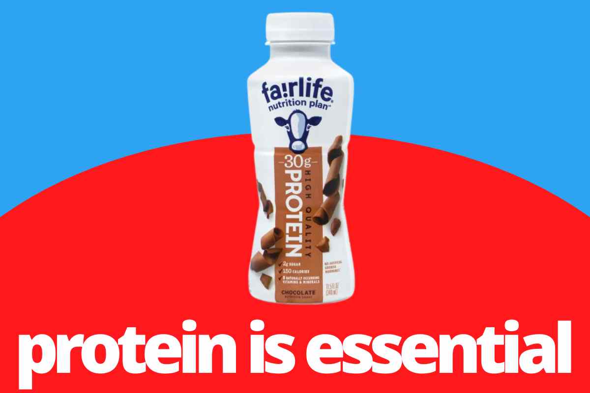 7 Helpful Tips on How to Maximize Weight Loss on Tirzepatide High protein shake tip for maximizing weight loss while using tirzepatide