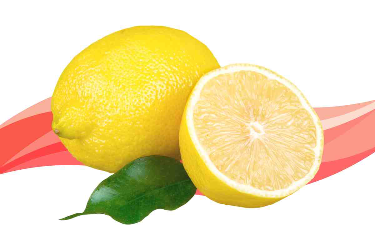 Delicious Low Carb Fruits to Enjoy on a Keto Diet lemon
