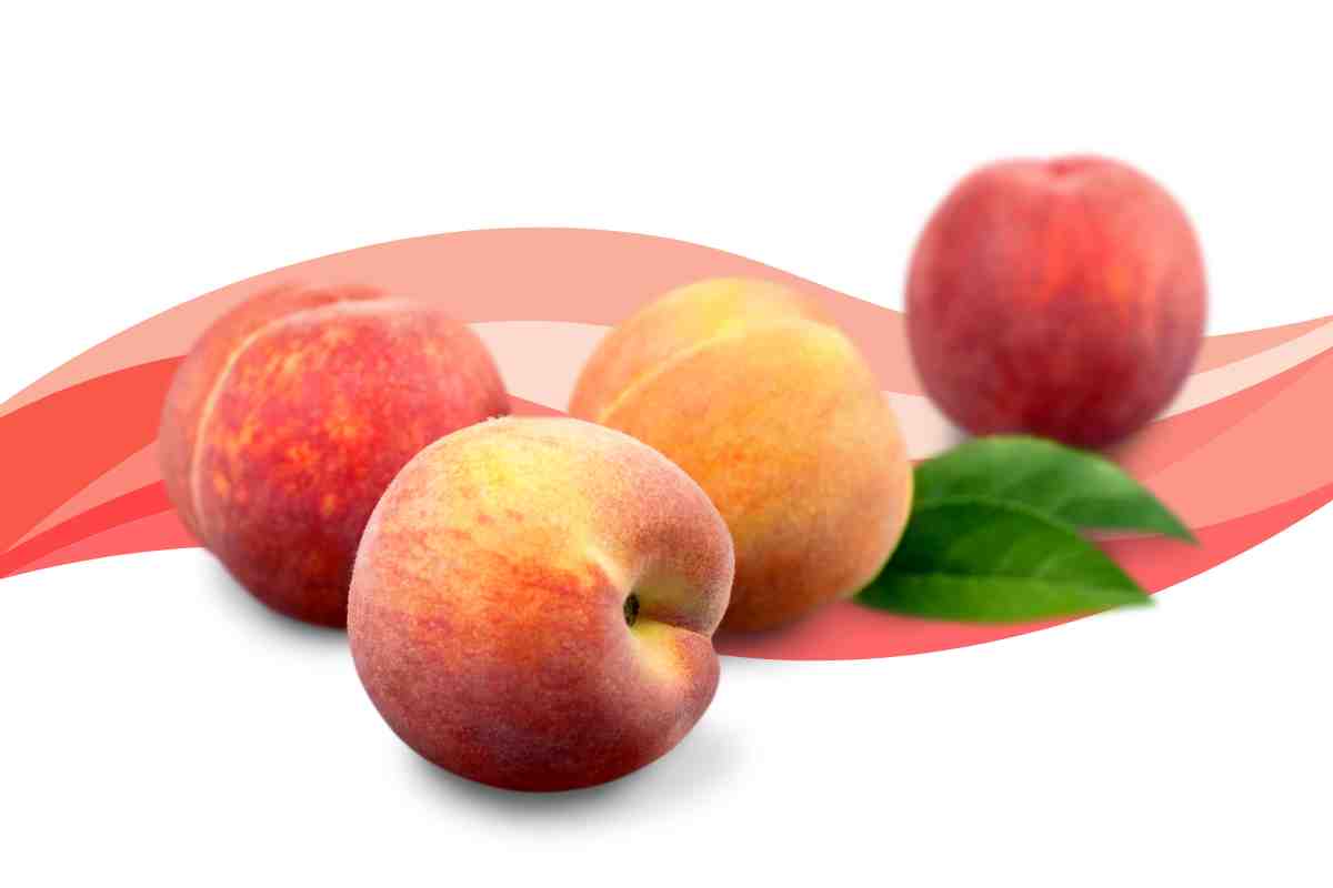 Delicious Low Carb Fruits to Enjoy on a Keto Diet peaches low carb fruit