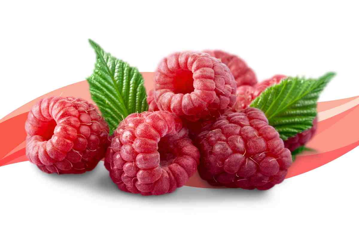 Delicious Low Carb Fruits to Enjoy on a Keto Diet raspberries