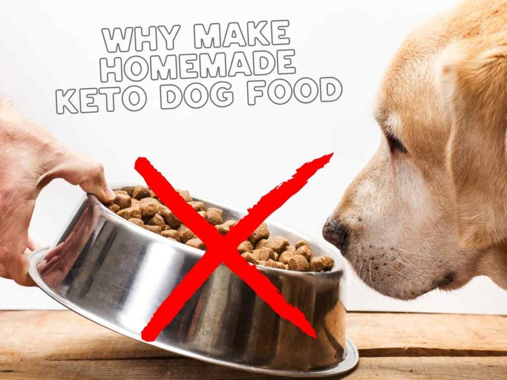 Homemade Keto Dog Food Recipe: A Healthy, Low-Carb Option for Your Pup A dog sniffing standard dog food with a no sign showing why to make a homemade keto dog food